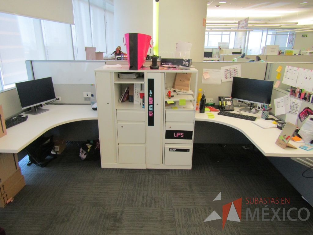 Lote 038 - Estación de trabajo para 10 personas de mampara baja con 10 gabinetes altos metálicos color blanco - Imagen 10
