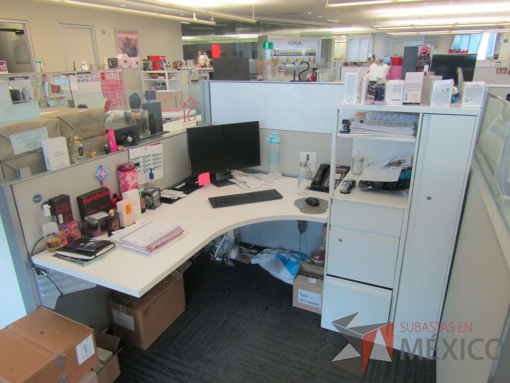 Lote 008 - Estación de trabajo para 5 personas de mampara baja con 5 gabinetes altos metálicos color blanco - Imagen 6