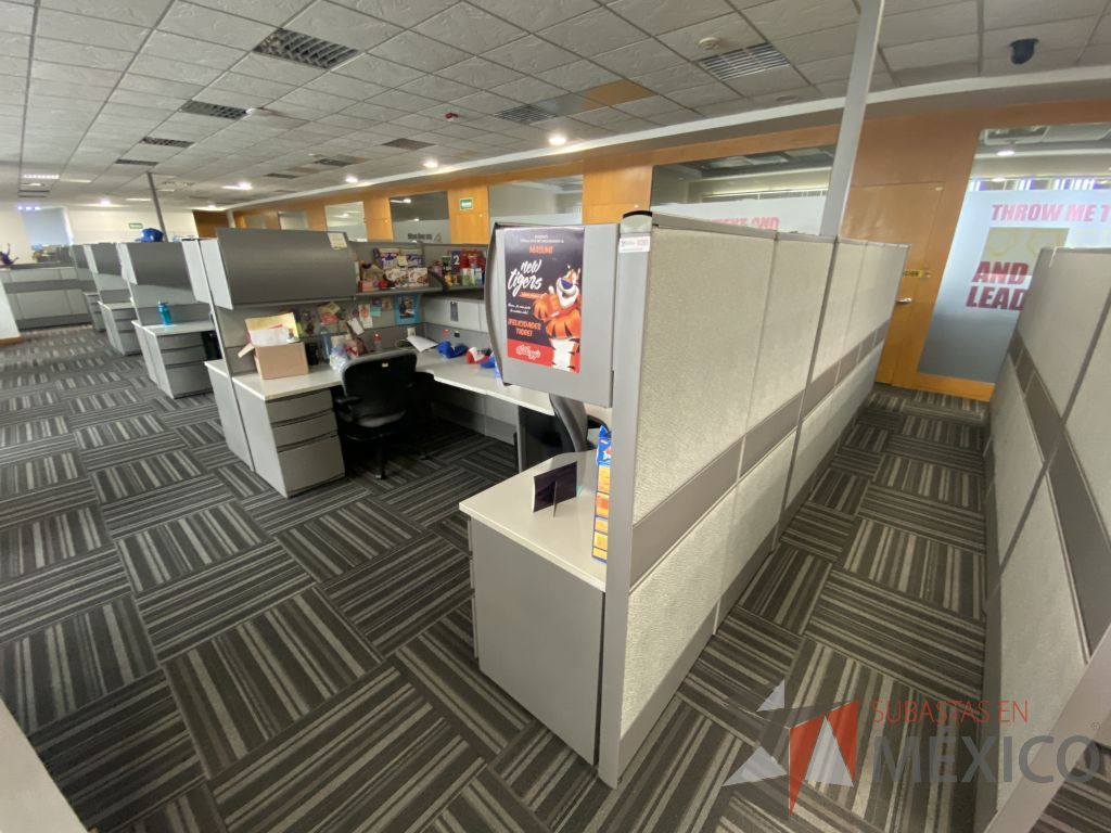 Lote 032 - Estación de trabajo para 20 personas con mampara alta con 20 gavetas - Imagen 3