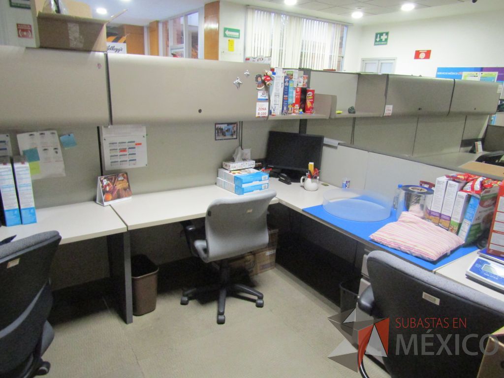 Lote 007 - Estación de trabajo para 16 personas con mampara alta con 16 gavetas - Imagen 8