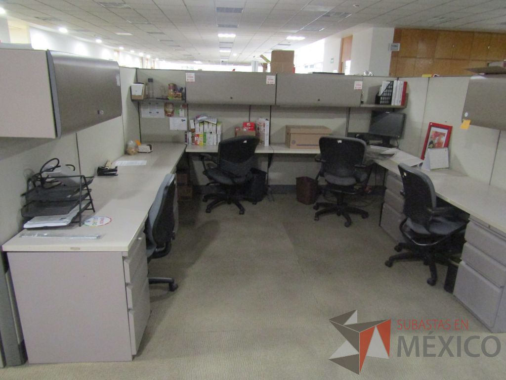 Lote 007 - Estación de trabajo para 16 personas con mampara alta con 16 gavetas - Imagen 15