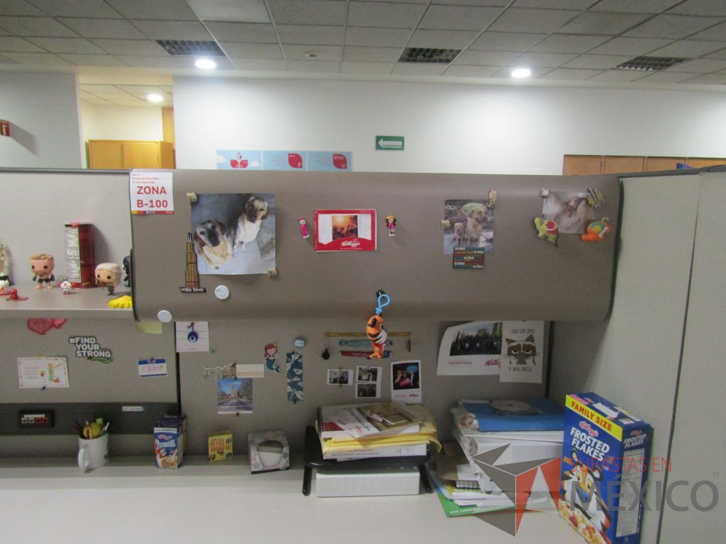 Lote 008 - Estación de trabajo para 8 personas con mampara alta con 8 gavetas - Imagen 18