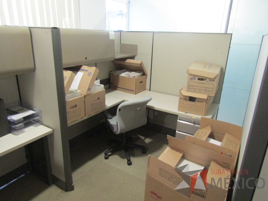 Lote 011 - Estación de trabajo para 7 personas con mampara alta con 7 gavetas - Imagen 4