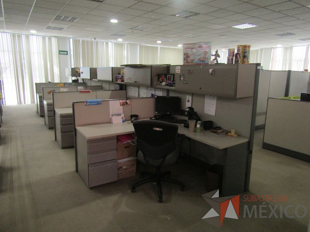 Lote 015 - Estación de trabajo para 13 personas de mampara alta con 13 gavetas - Imagen 13