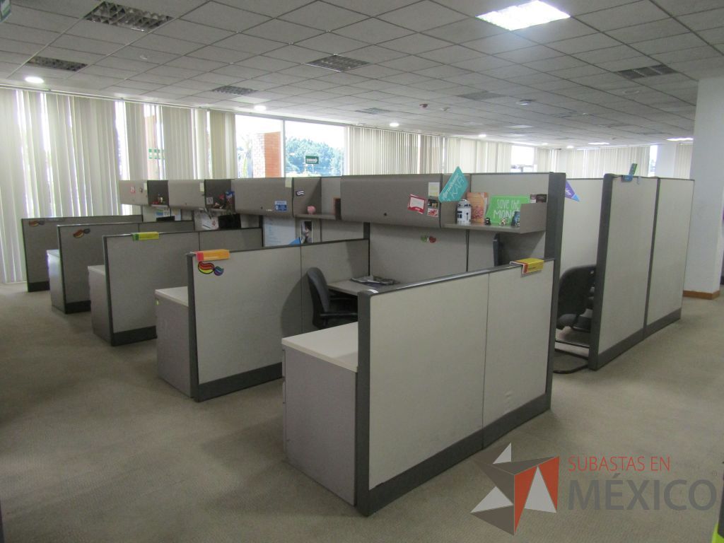Lote 018 - Estación de trabajo para 14 personas con mampara alta con 13 gavetas - Imagen 17