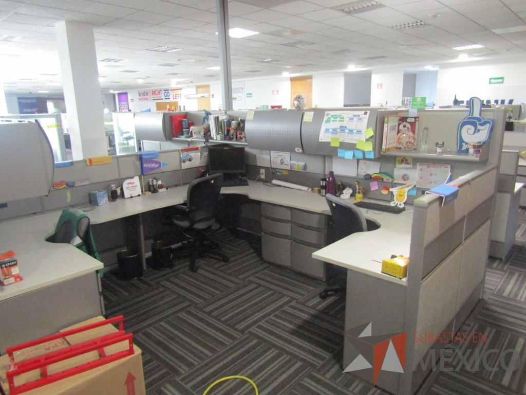 Lote 032 - Estación de trabajo para 20 personas con mampara alta con 20 gavetas - Imagen 21