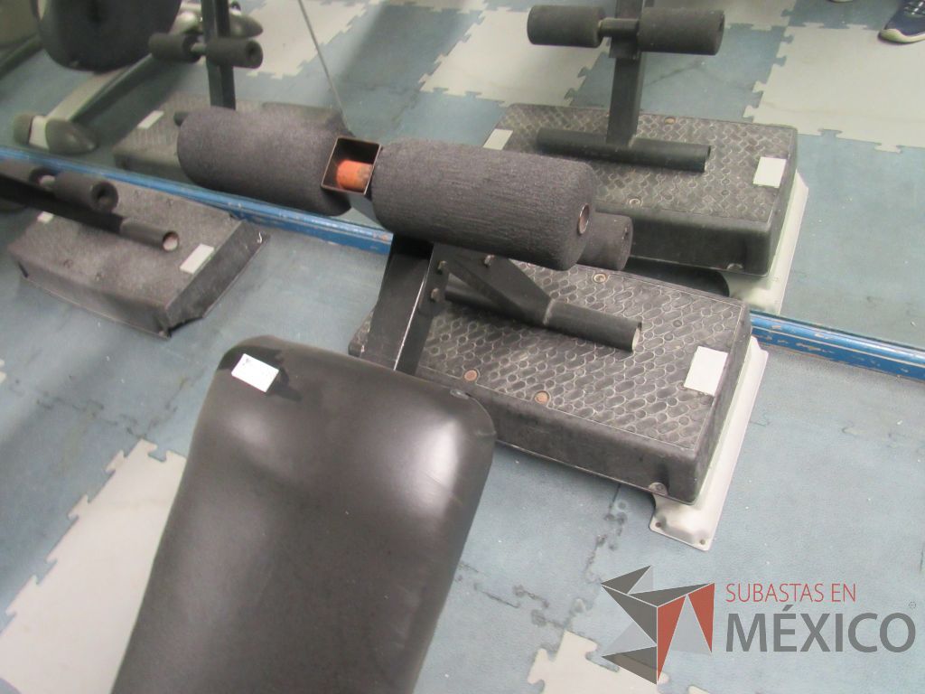 Lote 021 - Banco plano para abdominales y Bicicleta en mal estado, sin pedales y asiento roto - Imagen 15