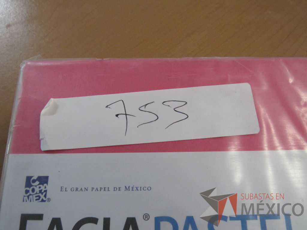 Lote 184 - Carpetas, Paquetes de hojas, Sobre bolsas, Engrapadoras y más - Imagen 151