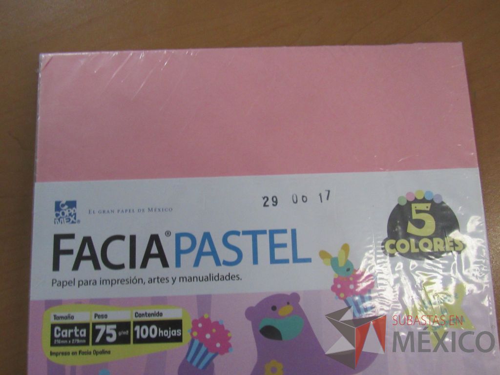 Lote 184 - Carpetas, Paquetes de hojas, Sobre bolsas, Engrapadoras y más - Imagen 147