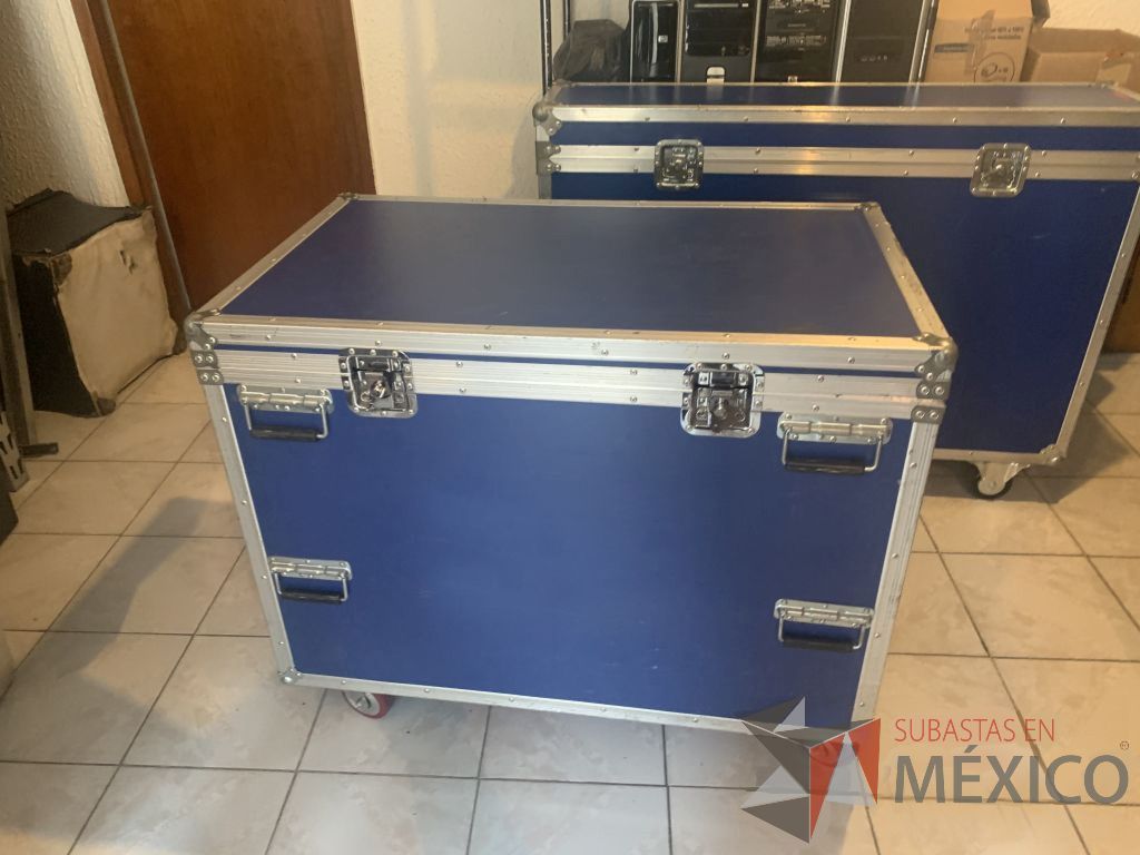 Lote 005 - 2 Cases Profesional para protección equipos y bienes diversos, con manijas, chapas y ruedas - Imagen 4