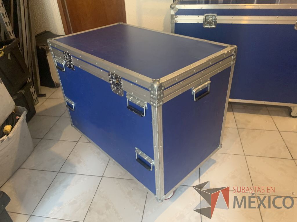 Lote 005 - 2 Cases Profesional para protección equipos y bienes diversos, con manijas, chapas y ruedas - Imagen 6