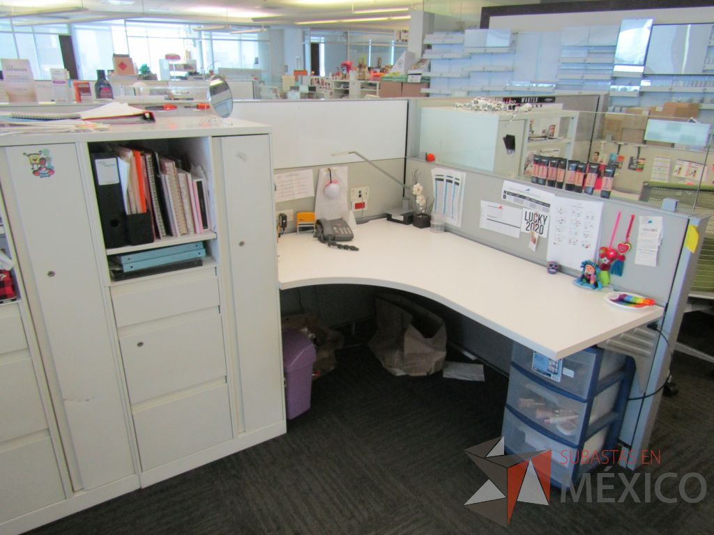Lote 081 - Estación de trabajo para 10 personas con 10 gabinetes altos de 3 cajones, 1 puerta y 1 entrepaño color blanco. - Imagen 12