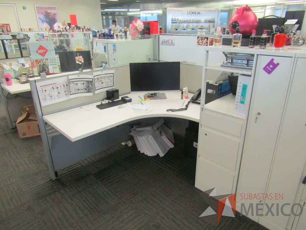 Lote 001 - Estación de trabajo para 6 personas de mampara baja con 6 gabinetes altos metálicos color blanco. - Imagen 9