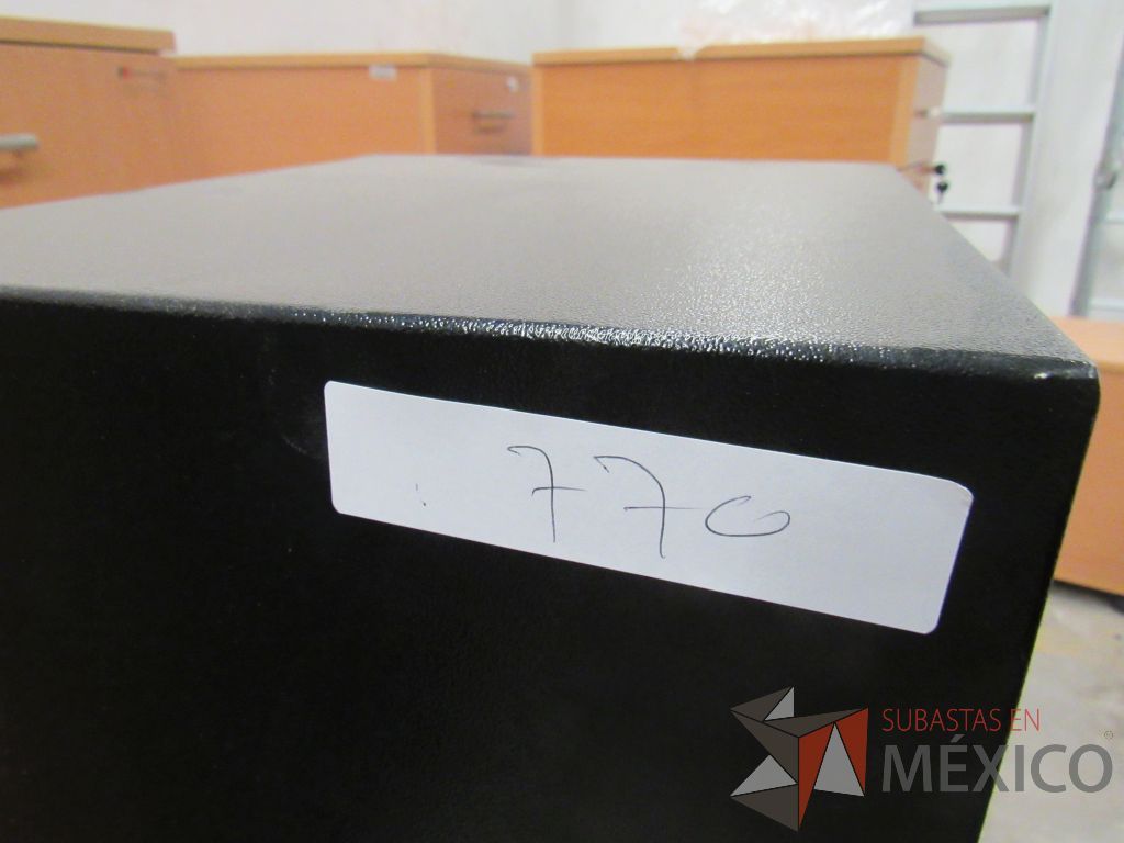 Lote 002 - Caja fuerte con carátula digital BULL SAFE, Modelo SOLD - Imagen 8