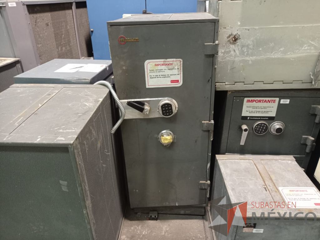Lote 005 - 19 Cajas fuertes, 69 cajoneras temporizadas, portachequeras y postes metálicos - Imagen 9