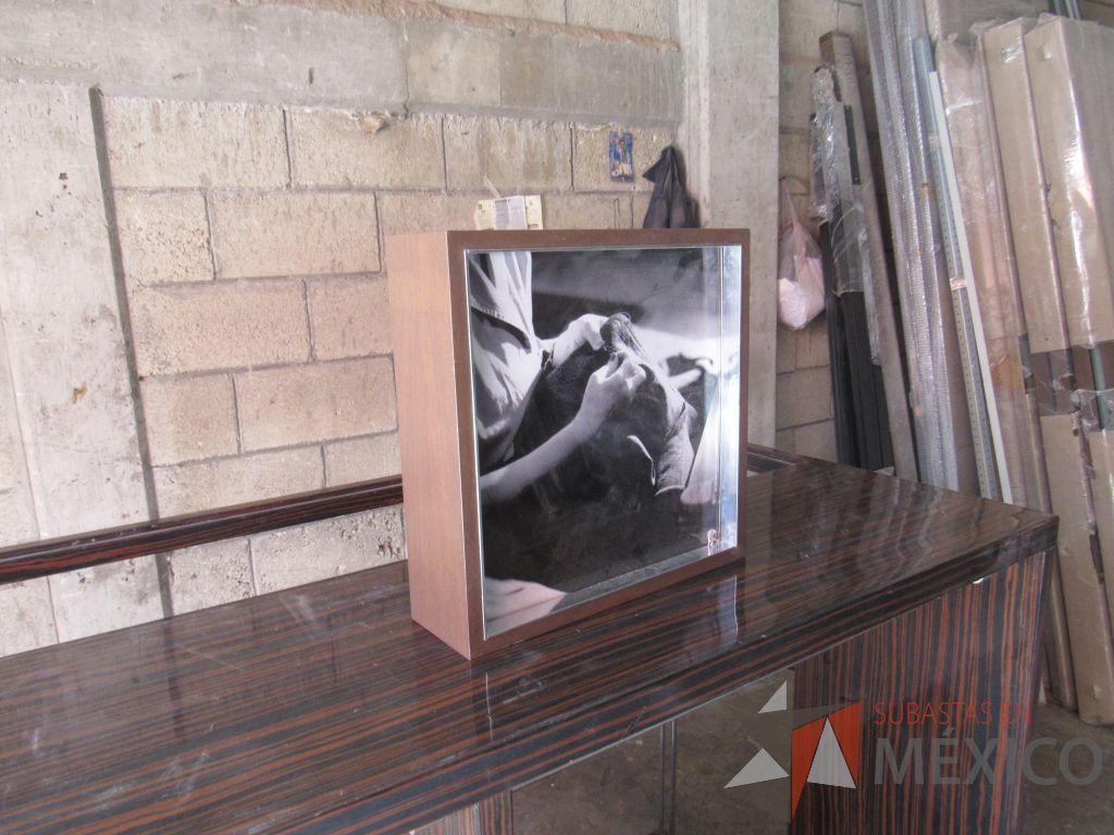 Lote 021 - 2 Cuadros decorativos con base de madera y recubrimiento de vidrio - Imagen 6
