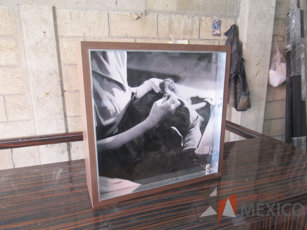 Lote 021 - 2 Cuadros decorativos con base de madera y recubrimiento de vidrio - Imagen 7