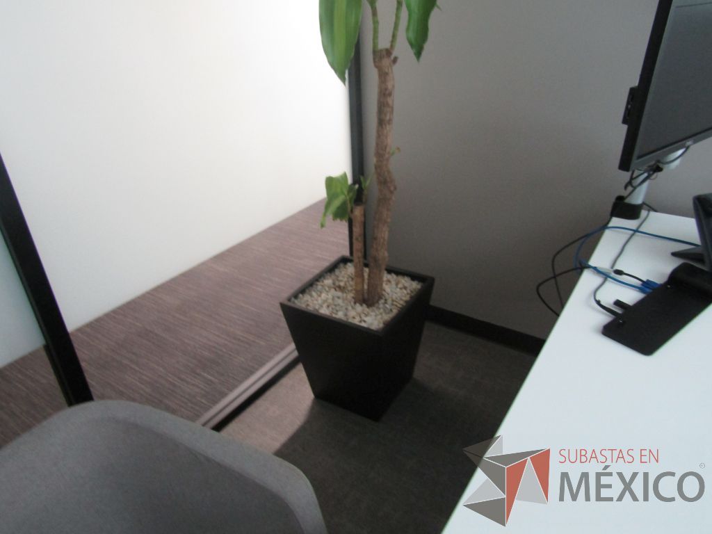 Lote 068 - 7 Macetas de fibra de vidrio color café con planta - Imagen 9