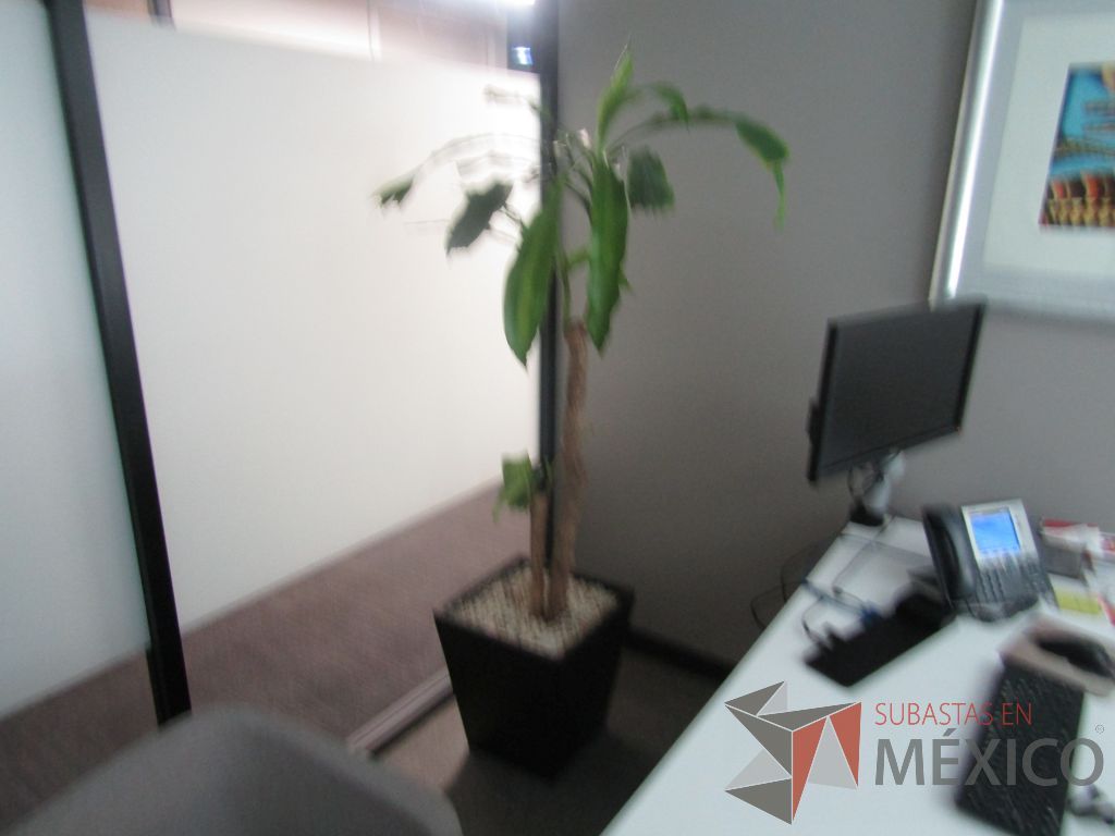 Lote 068 - 7 Macetas de fibra de vidrio color café con planta - Imagen 12
