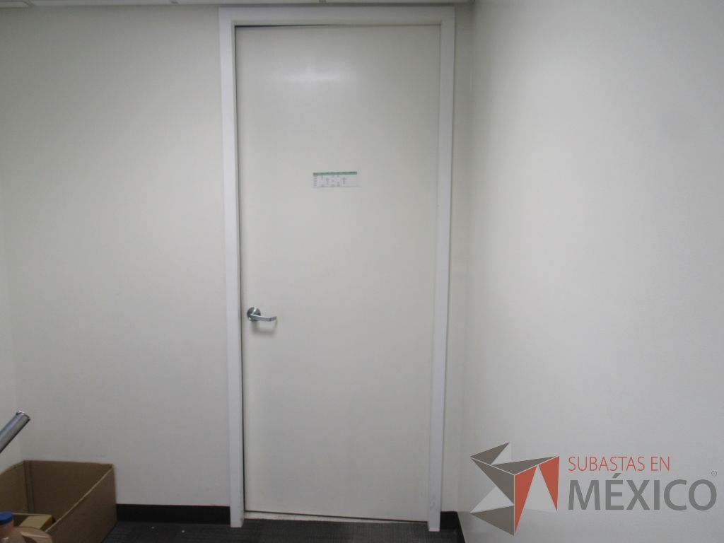 Lote 403 - 11 Canceles (puertas de vidrio, puertas de madera y hojas de vidrio) - Imagen 45