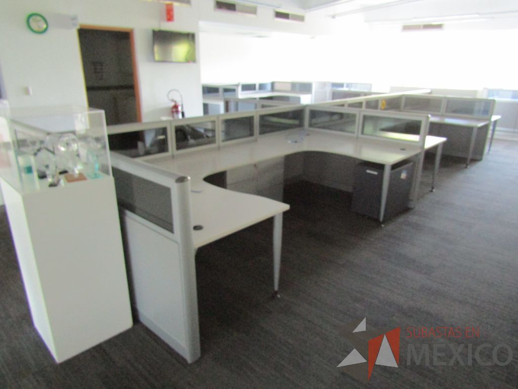 Lote 042 - Estación de trabajo para 10 personas, mampara baja con vidrio, con 10 archiveros de pedestal de 3 cajones - Steelcase - Imagen 6
