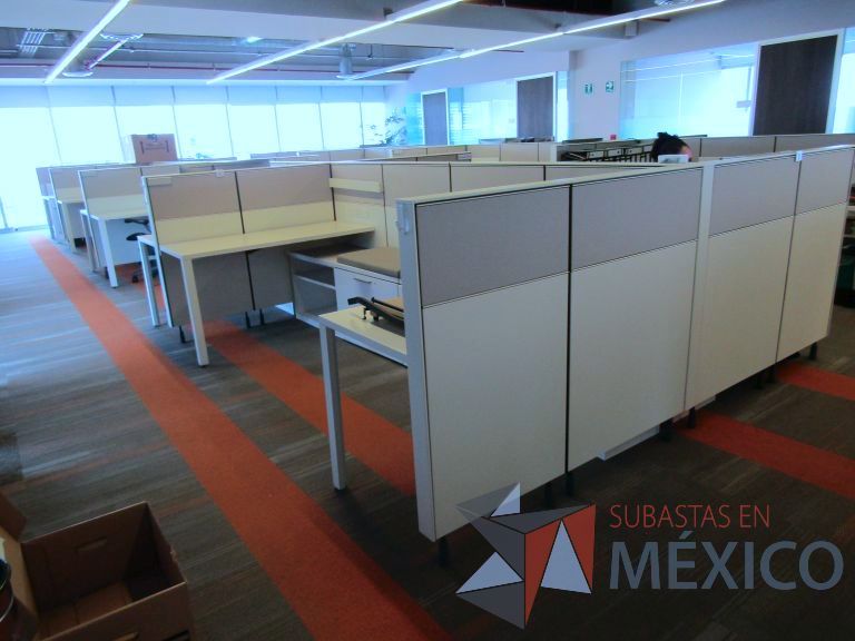Lote 002 - Estación de trabajo para 14 personas con mampara baja - Imagen 12