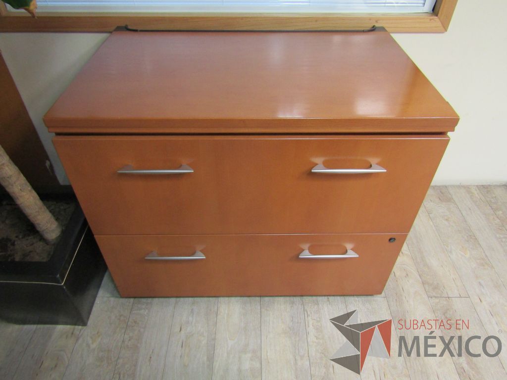 Lote 101 - Archivero horizontal de 2 cajones