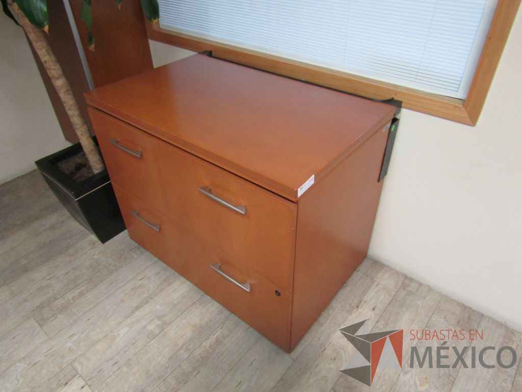 Lote 101 - Archivero horizontal de 2 cajones - Imagen 6