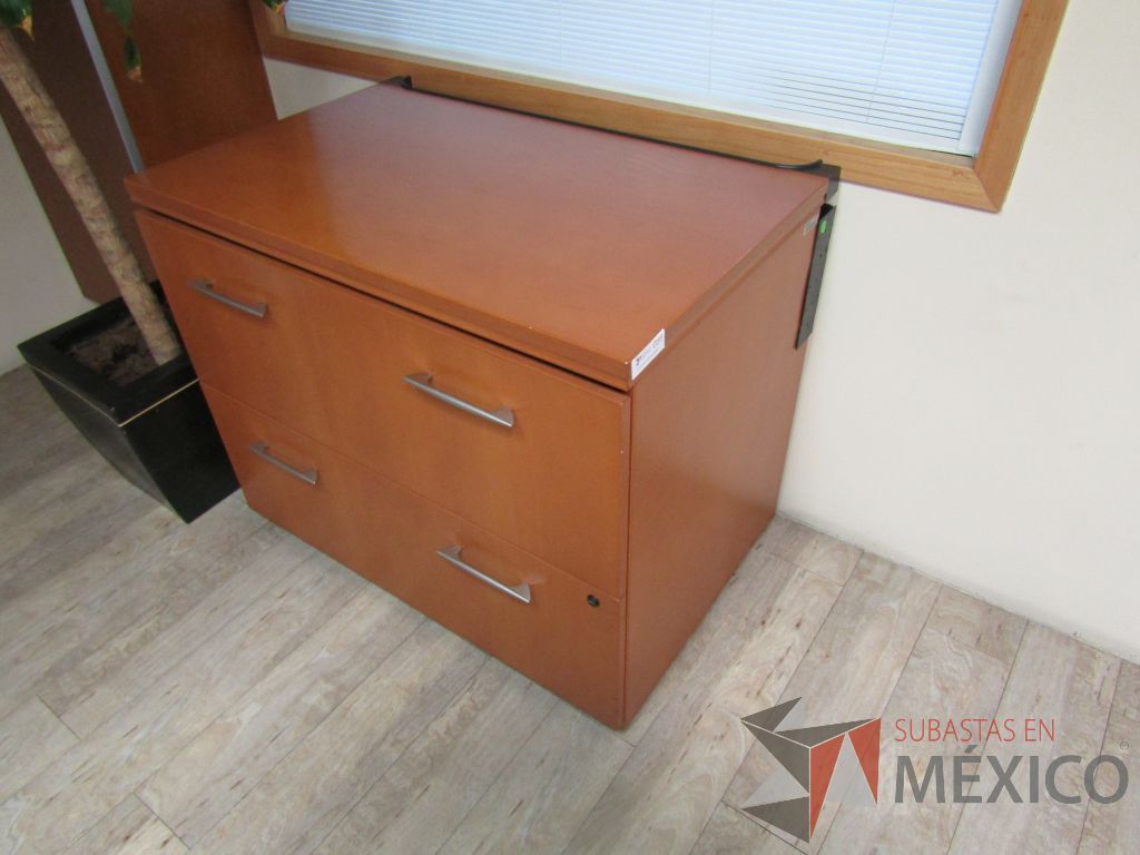 Lote 101 - Archivero horizontal de 2 cajones - Imagen 7