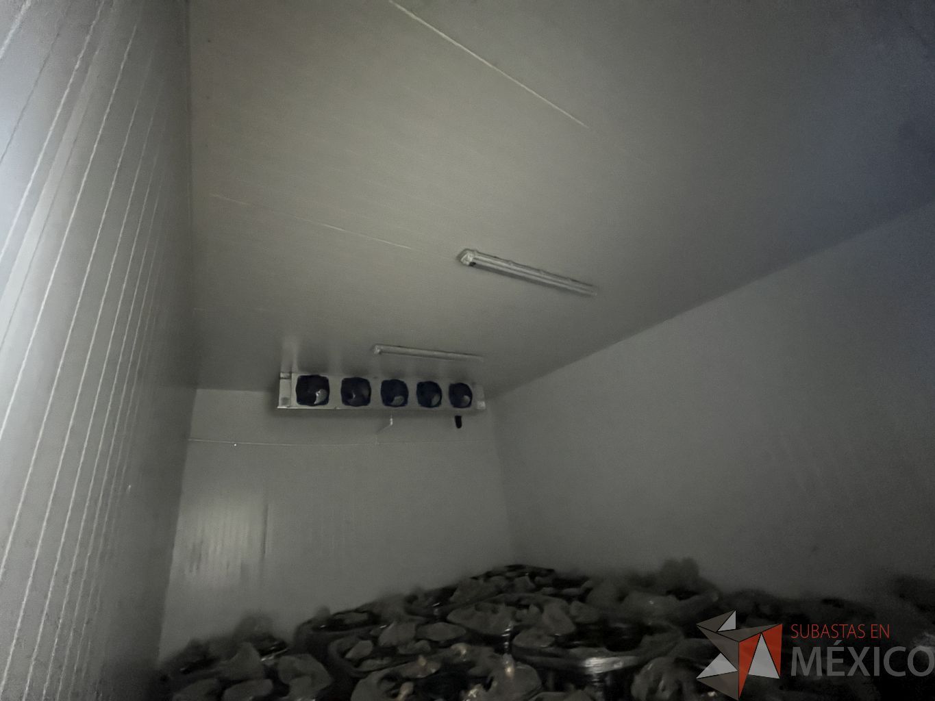 Lote 005 - Cámara de refrigeración dividida en 4 secciones con 3 puertas de acero inoxidable - Imagen 6