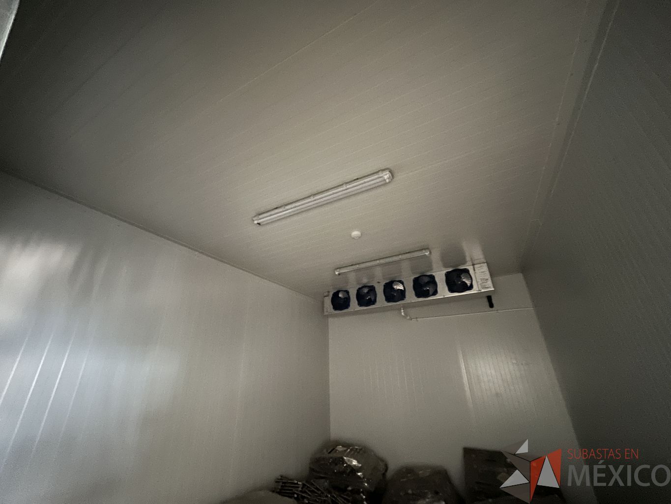 Lote 005 - Cámara de refrigeración dividida en 4 secciones con 3 puertas de acero inoxidable - Imagen 8