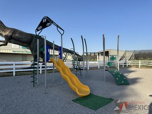 IMG_6828