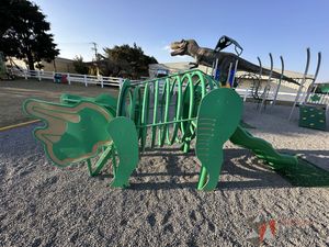 IMG_6881