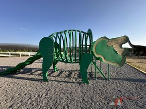 IMG_6895