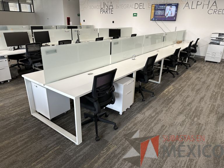 Lote 007 - Estación de trabajo para 10 personas