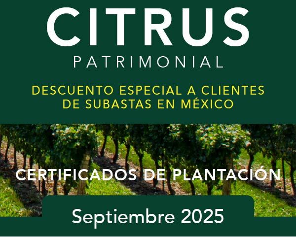 Citrus-Patrimonil-septiembre-2025-Recurso-18
