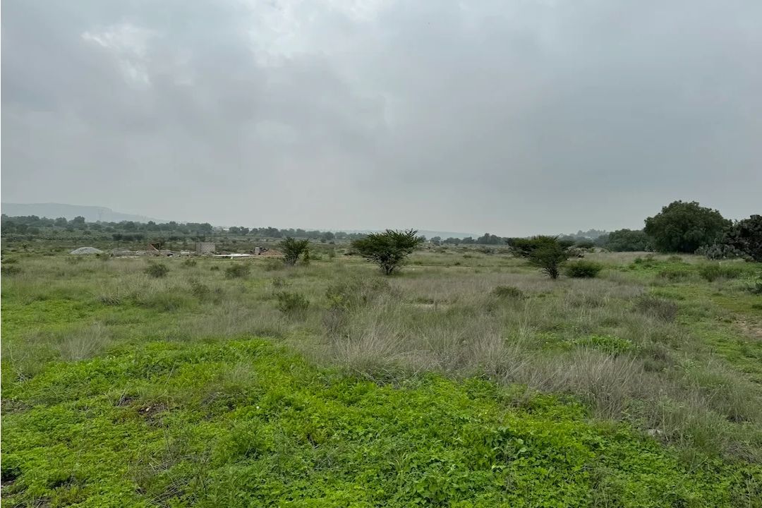 Lote 005 - Terreno de 10.4 hectáreas en el Estado de México - Imagen 2