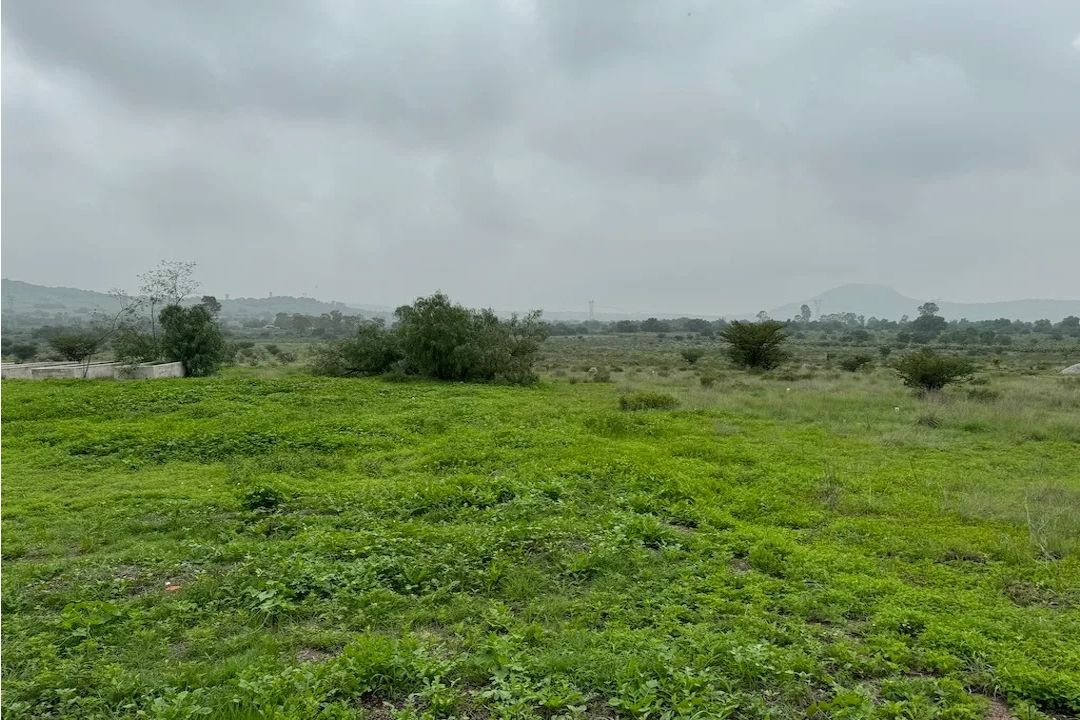 Lote 005 - Terreno de 10.4 hectáreas en el Estado de México - Imagen 5