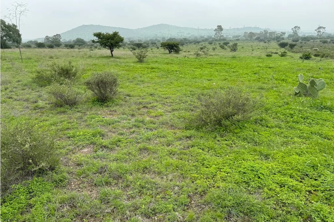 Lote 005 - Terreno de 10.4 hectáreas en el Estado de México - Imagen 4