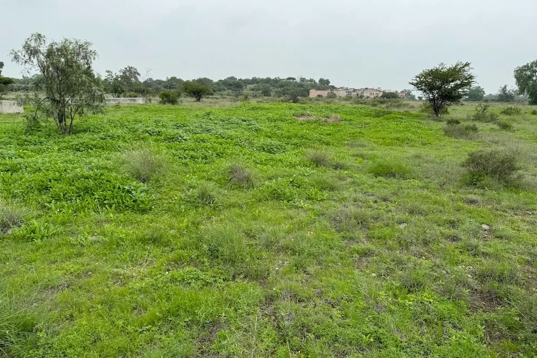 Lote 005 - Terreno de 10.4 hectáreas en el Estado de México - Imagen 3