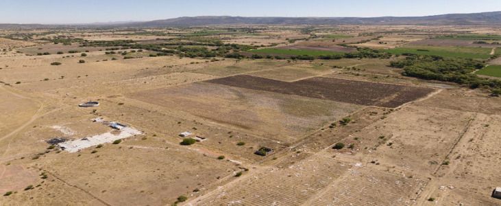 Lote 010 - Terreno Agricola Temporal de 50000.00 m2 ubicado en Predio Rústico, La Fracción "A" del Lote No. 70, Fraccionamiento Tecolotes, Terrenos expropiados a la Exhacienda de Malpaso, Municipio de Villanueva, Zacatecas. C.P. 99510