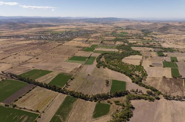 Lote 010 - Terreno Agricola Temporal de 50000.00 m2 ubicado en Predio Rústico, La Fracción "A" del Lote No. 70, Fraccionamiento Tecolotes, Terrenos expropiados a la Exhacienda de Malpaso, Municipio de Villanueva, Zacatecas. C.P. 99510 - Imagen 13