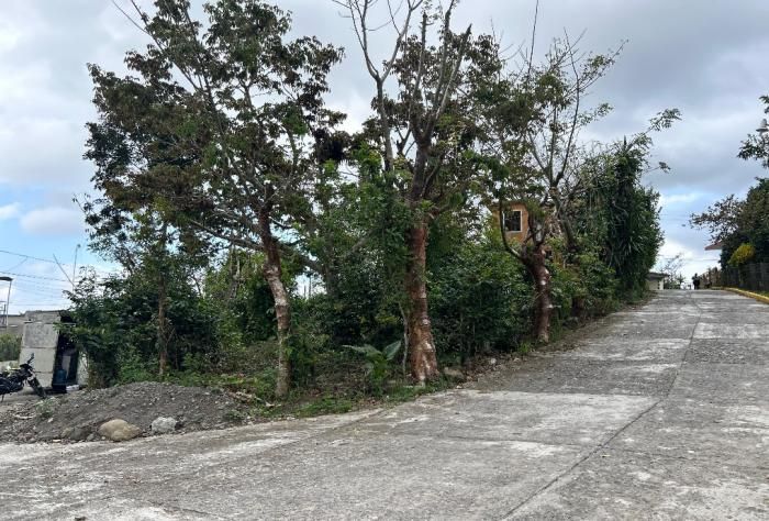 Lote 007 - Casa Habitación de 729 m2 ubicada Una Fracción del Solar Urbano s/n, en la Congregacion de Cristobal Hidalgo del Municipio de Yecuatla, Veracruz, ubicado ahora en Av. 5 de Mayo y Calle 20 de Noviembre, Lote 190, Yecuatla, Veracruz, C.P. 93900 - Imagen 12