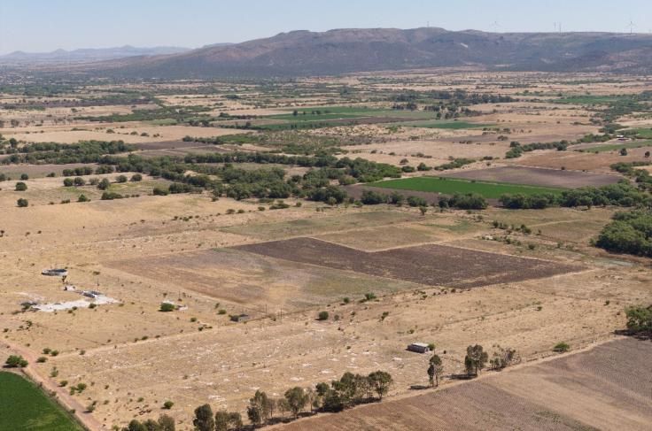Lote 010 - Terreno Agricola Temporal de 50000.00 m2 ubicado en Predio Rústico, La Fracción "A" del Lote No. 70, Fraccionamiento Tecolotes, Terrenos expropiados a la Exhacienda de Malpaso, Municipio de Villanueva, Zacatecas. C.P. 99510 - Imagen 2