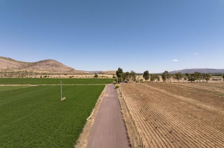 Lote 010 - Terreno Agricola Temporal de 50000.00 m2 ubicado en Predio Rústico, La Fracción "A" del Lote No. 70, Fraccionamiento Tecolotes, Terrenos expropiados a la Exhacienda de Malpaso, Municipio de Villanueva, Zacatecas. C.P. 99510 - Imagen 4