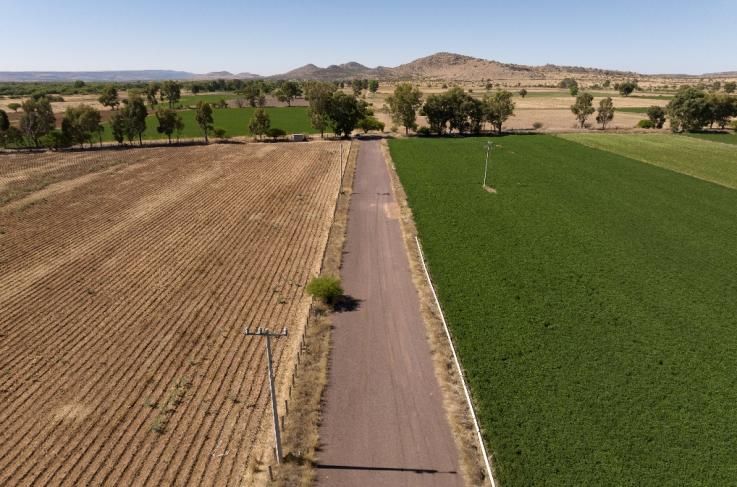 Lote 010 - Terreno Agricola Temporal de 50000.00 m2 ubicado en Predio Rústico, La Fracción "A" del Lote No. 70, Fraccionamiento Tecolotes, Terrenos expropiados a la Exhacienda de Malpaso, Municipio de Villanueva, Zacatecas. C.P. 99510 - Imagen 5