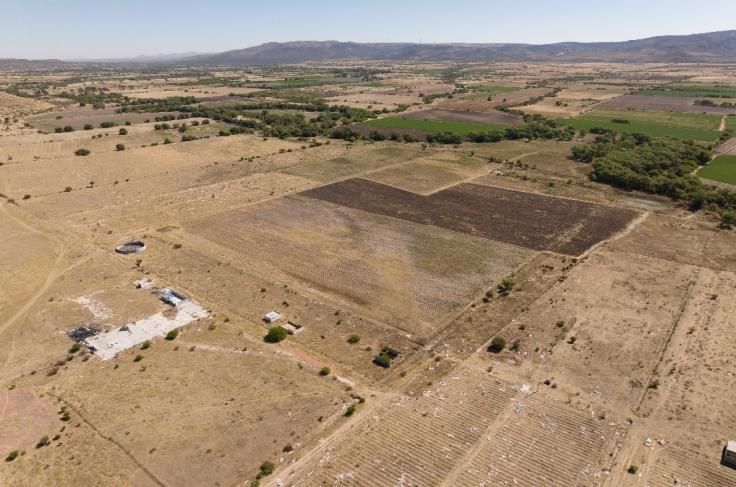 Lote 010 - Terreno Agricola Temporal de 50000.00 m2 ubicado en Predio Rústico, La Fracción "A" del Lote No. 70, Fraccionamiento Tecolotes, Terrenos expropiados a la Exhacienda de Malpaso, Municipio de Villanueva, Zacatecas. C.P. 99510 - Imagen 7