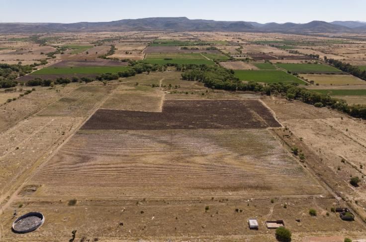 Lote 010 - Terreno Agricola Temporal de 50000.00 m2 ubicado en Predio Rústico, La Fracción "A" del Lote No. 70, Fraccionamiento Tecolotes, Terrenos expropiados a la Exhacienda de Malpaso, Municipio de Villanueva, Zacatecas. C.P. 99510 - Imagen 8