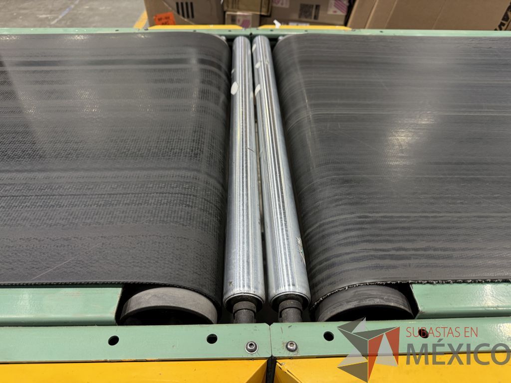 Lote 010 - Sistema de conveyors ROACH - Imagen 19