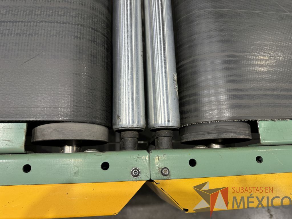 Lote 010 - Sistema de conveyors ROACH - Imagen 20